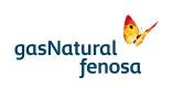 fundación gas fenosa.jpg