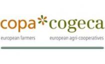 copacogeca.jpg