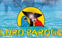 loroparque.jpg