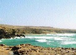 OCATEN1 port 269394_w220.jpg