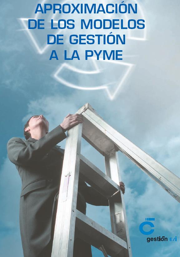 aproximacion_modelos_gestion_pyme.JPG