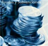 ayudas_y_subenciones270309661.jpg
